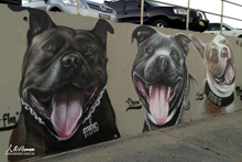 悉尼邦代海灘邊的涂鴉藝術