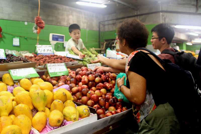 在帕迪市場體驗悉尼市井生活（實習生 魏立憲）