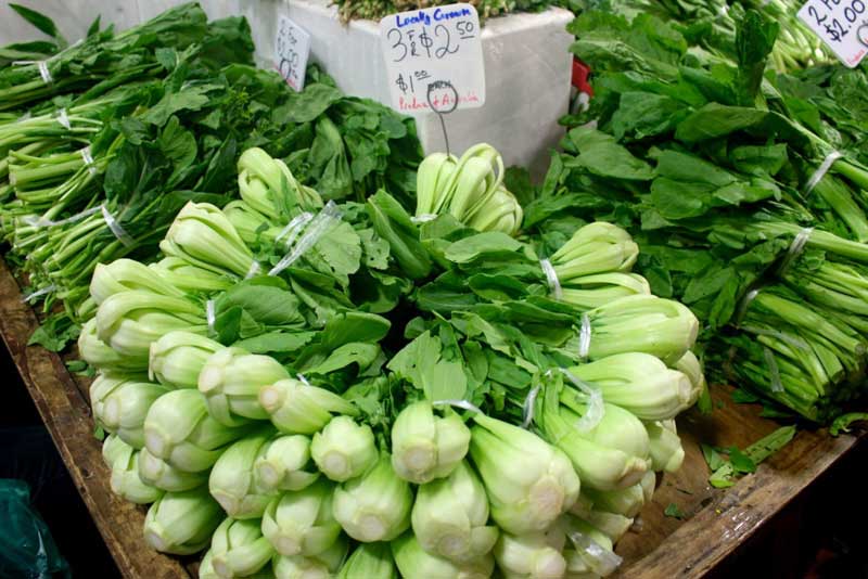 在帕迪市場體驗悉尼市井生活（實習生 魏立憲）