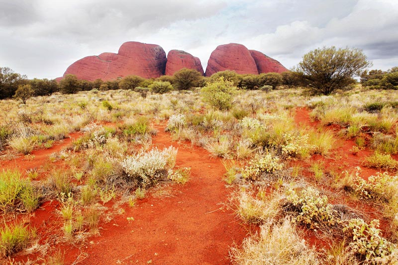 由36塊巨石組成的卡塔丘塔與艾爾斯巖遙相呼應（攝影 馬小龍）