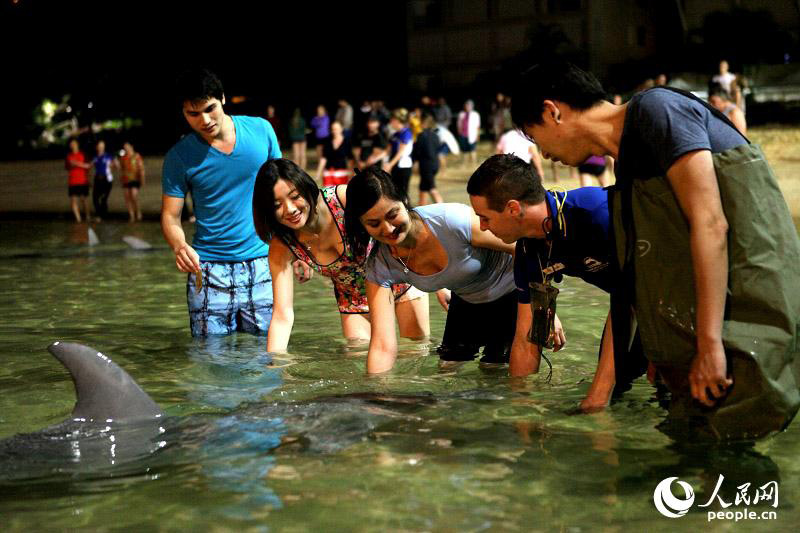 海豚島又名摩頓島，是世界上第三大沙島。