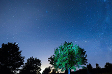 南半球度假農莊絕美星空