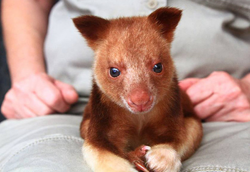 �����R����@�еĘ�������̣��DƬ��Դ�������R����@�پW��