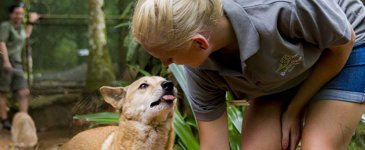 人文風情保留土著文明的現代國度，匯聚多元文化的移民國家，觀澳式橄欖球在綠茵場激情碰撞，賞神秘圖騰沉淀出繽紛畫卷。