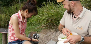 微視澳洲        放眼全澳資訊，匯聚美食美景，以最前沿、最新鮮、最熱辣的微視頻形式，帶您游走澳洲，感悟南半球別具一格的自然景觀和文化魅力。