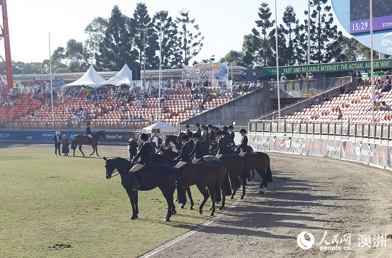 2025悉尼皇家復活節農展會上的馬術比賽（攝影 劉美鷺）